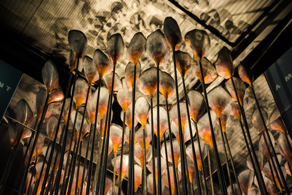 Petals reaching for the sky illustrating the Cauldron in action during the Games