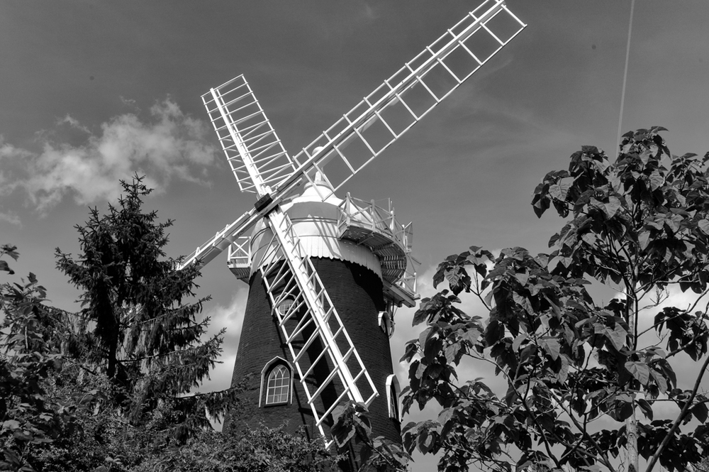   Zoomed in using the ancient technique of walking, still at 35mm (Mike Evans, Leica Monochrom and Tri-Elmar)  