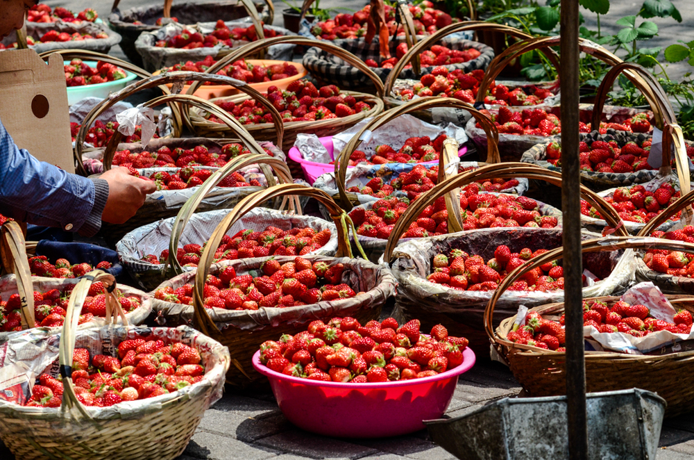 Strawberries in season