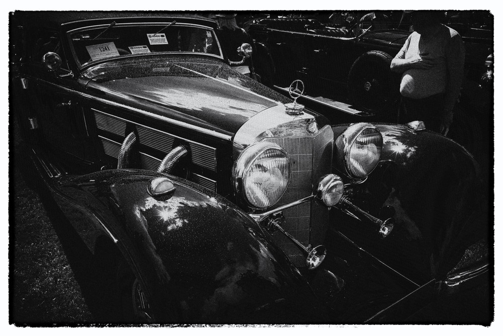Photo: William Fagan