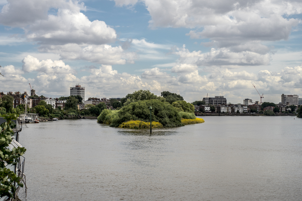 Leica 75mm Apo-Summicron on Sony A7R. The Apo-