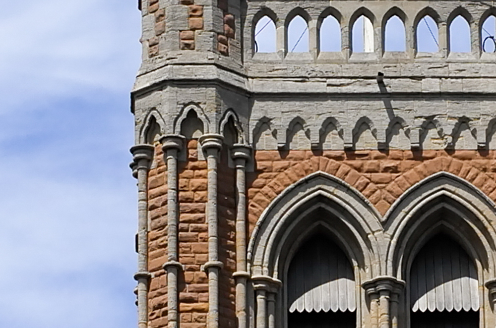   Cropped detail  