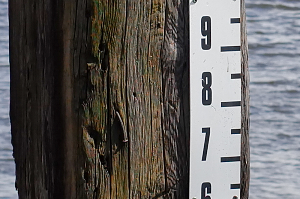   Detail from the above shot  