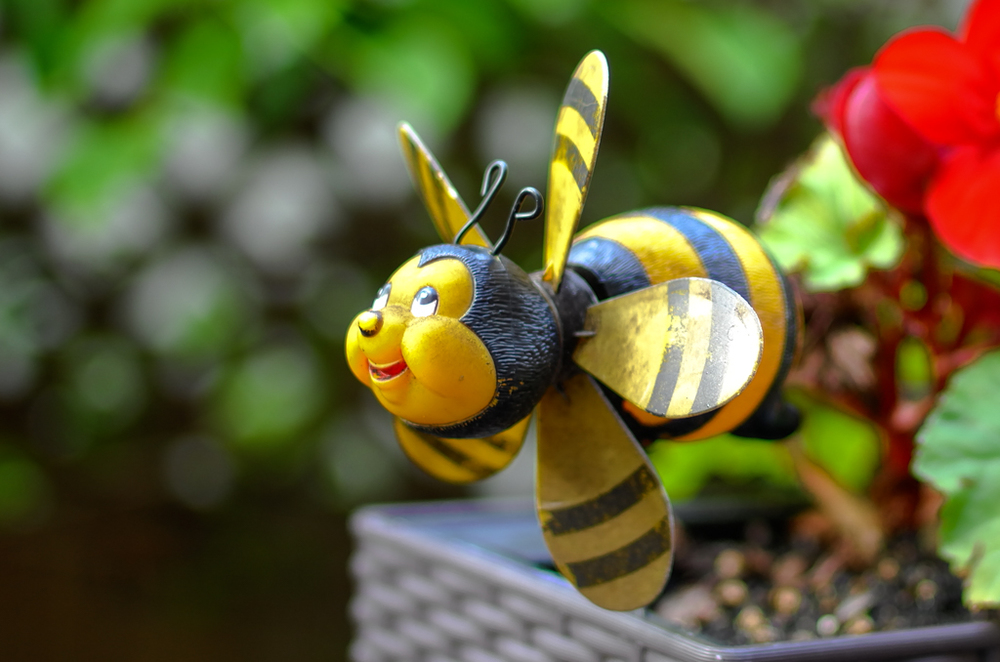   Mr. Bumble, f/2  