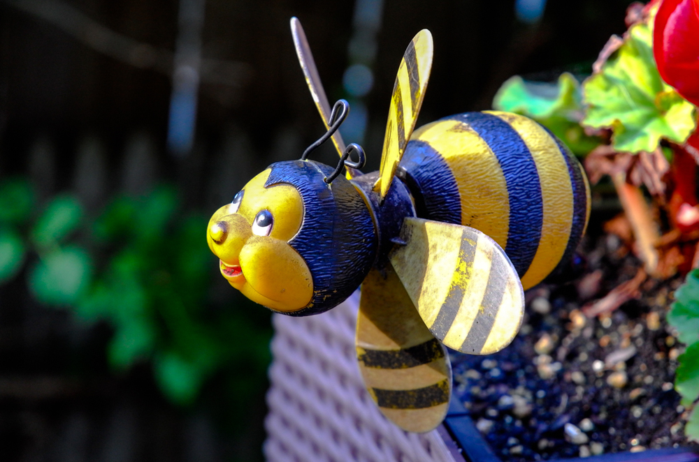   Mr. Bumble, 85mm, ISO 800  