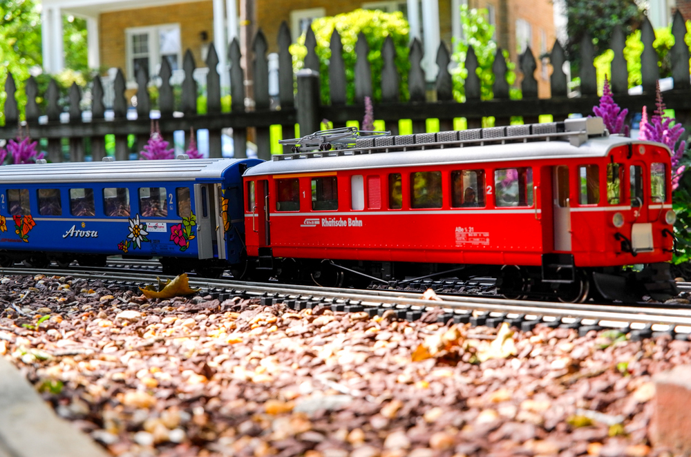   Swiss railways come to Washington DC, 65mm at ISO 200  