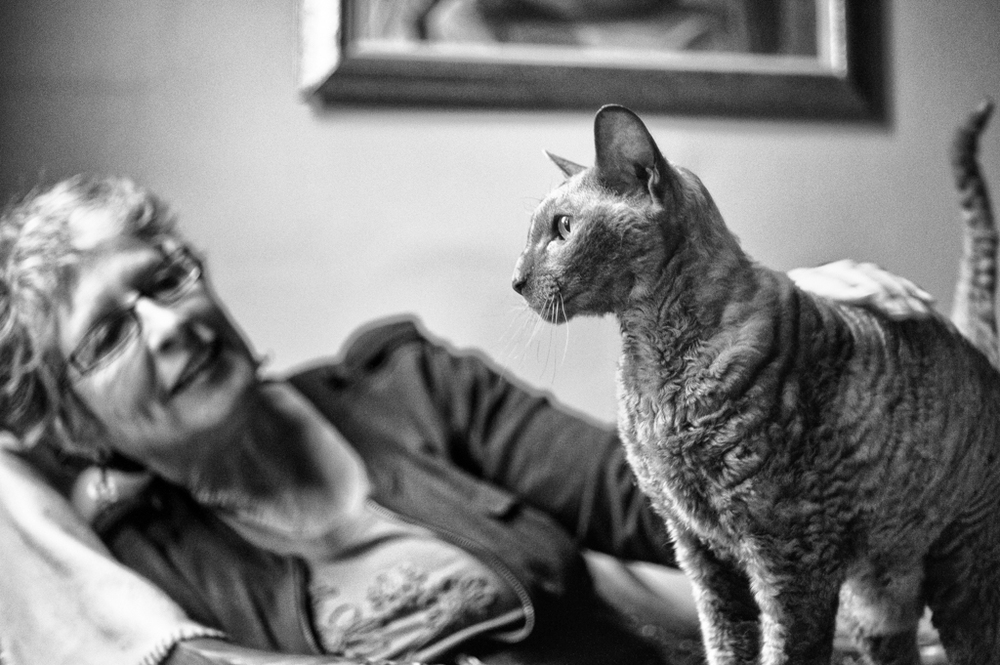 Ollie took this great shot with his first Frankencamera, the converted Konica. Barty is master of all it surveys, as with all cats. Poor humans are consigned to bokeh