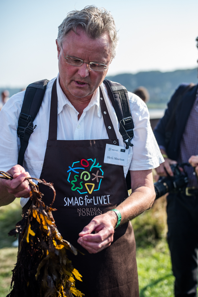 Ole Mouritsen, aka Professor Seaweed, loves it fresh and told us more than we ever expected to know about this delicious and undervalued resource