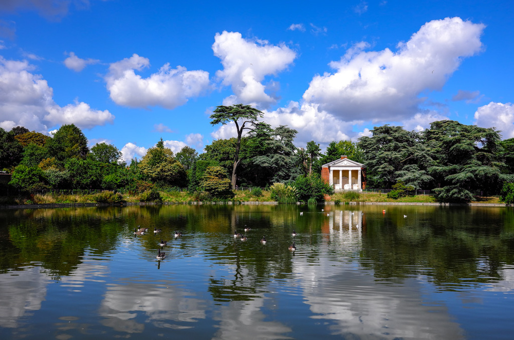 The X Vario is still a superb little camera that can give the new T a run for its money