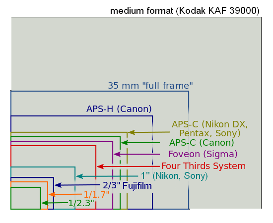 The new V-Lux incorporates the 1in sensor first popularised by Nikon (with the Nikon 1) and Sony (with the RX100). By comparison, the 1/2.3in sensor of the V-Lux 4 is tiny (image Wiki Commons)