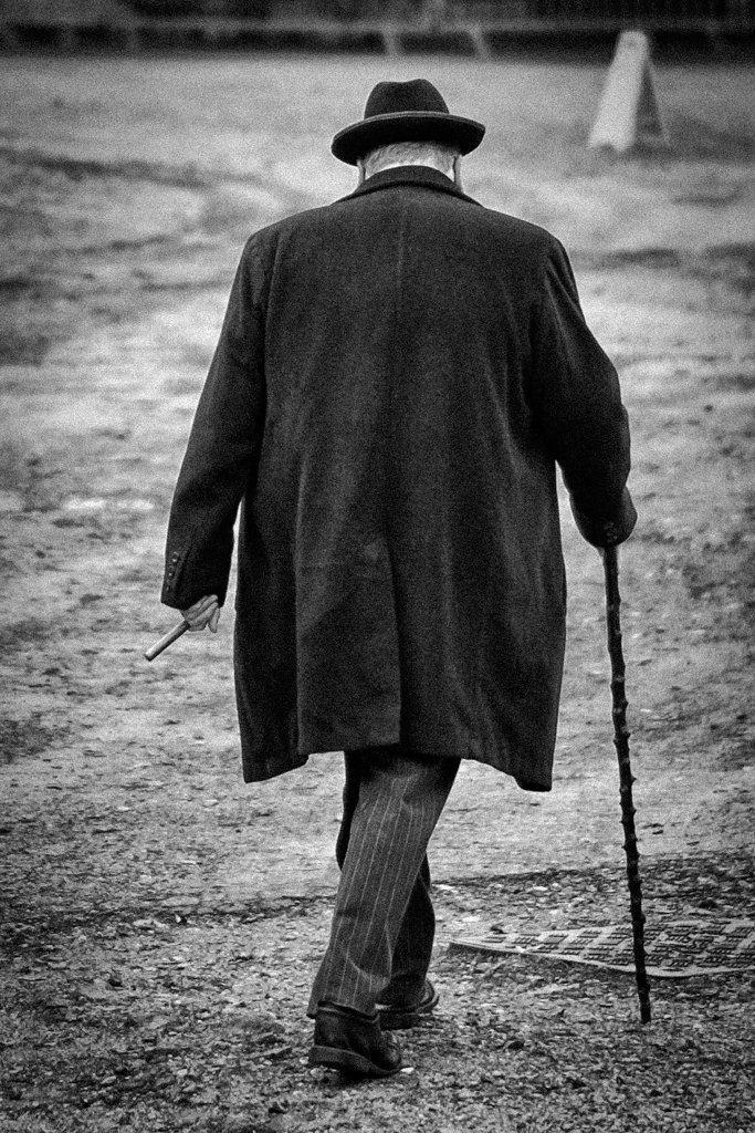 Tailpiece (Fuji, heavily cropped)