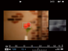 The large composition window on the left is supplemented (if you wish) by a smaller magnified focus screen to the right. Split-image finding, as here, is an option.