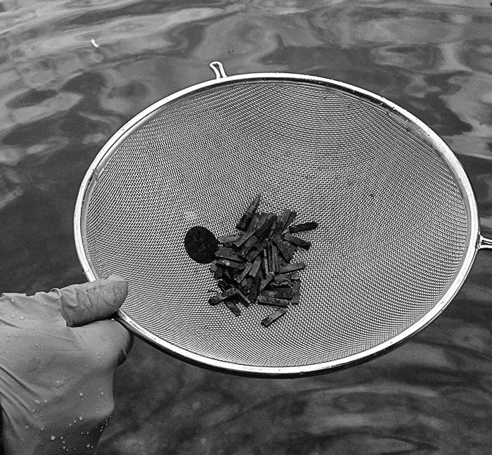 Salvage operation (Photo Robert Green)