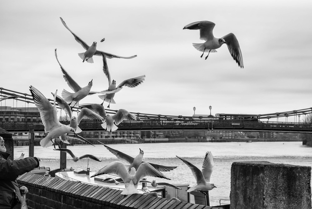 Give us this day our daily bread: Fuji X-T1 captures the moment (not at Tower Bridge, of course, merely afore its little brother upriver at Hammersmith)