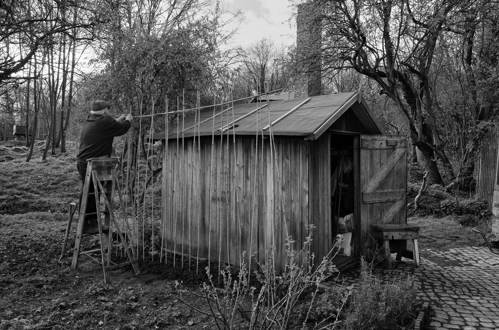 Out in the back garden work goes on while the lady of the house bakes the potatoes and grills the sausages. (Ricoh GR)