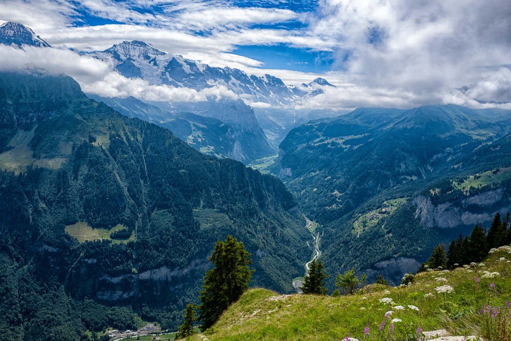 The impressive view of the Lauterbrunnen valley from the top of Schynige Platte where you can wander through the fantastic alpine garden. Wengen is just visible immediately under the horizontal cloud formation over the valley