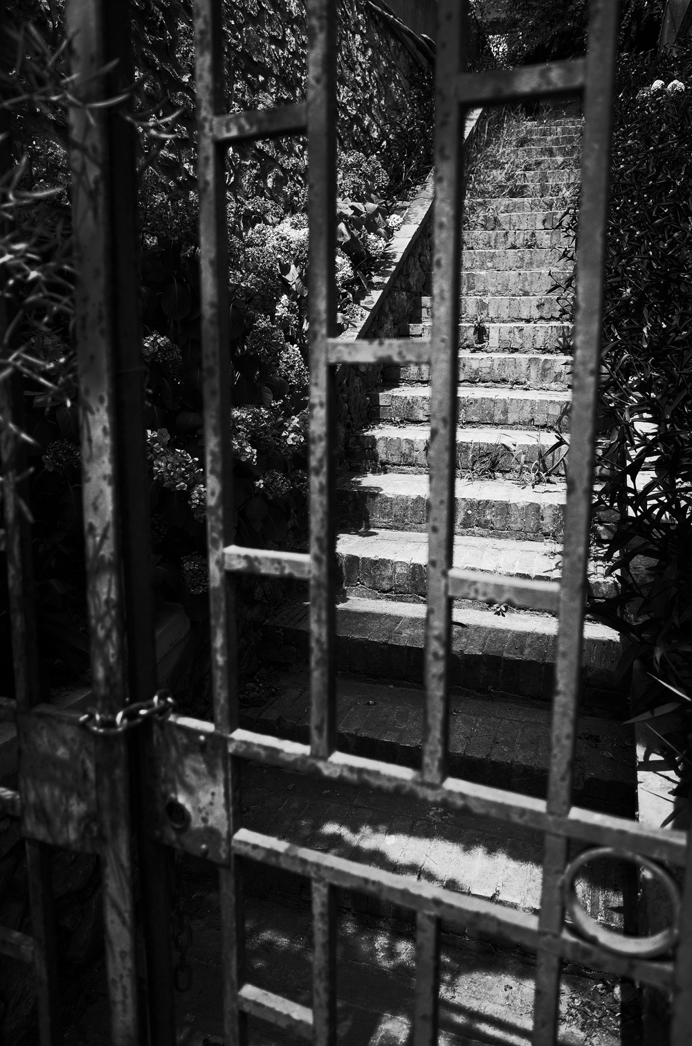 Capri: The gate