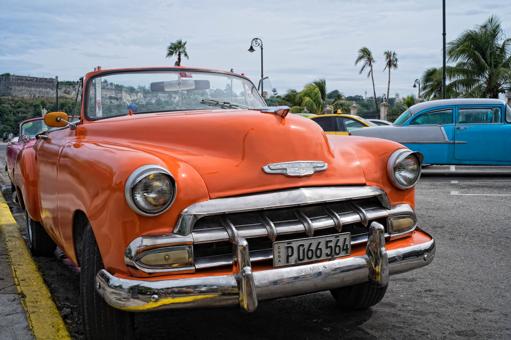  1950s American cars preserved in aspic. But for how long now? 