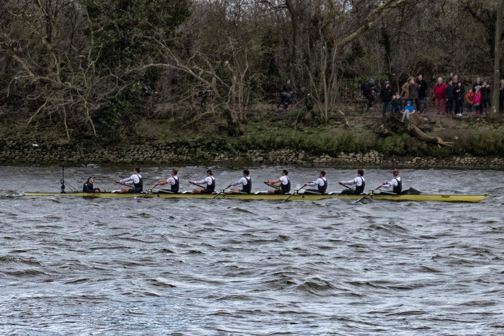 Poor old Oxford, top dogs ever since 2012, had conceded defeat by this stage (f/5@1/400s, ISO 200, 59mm)