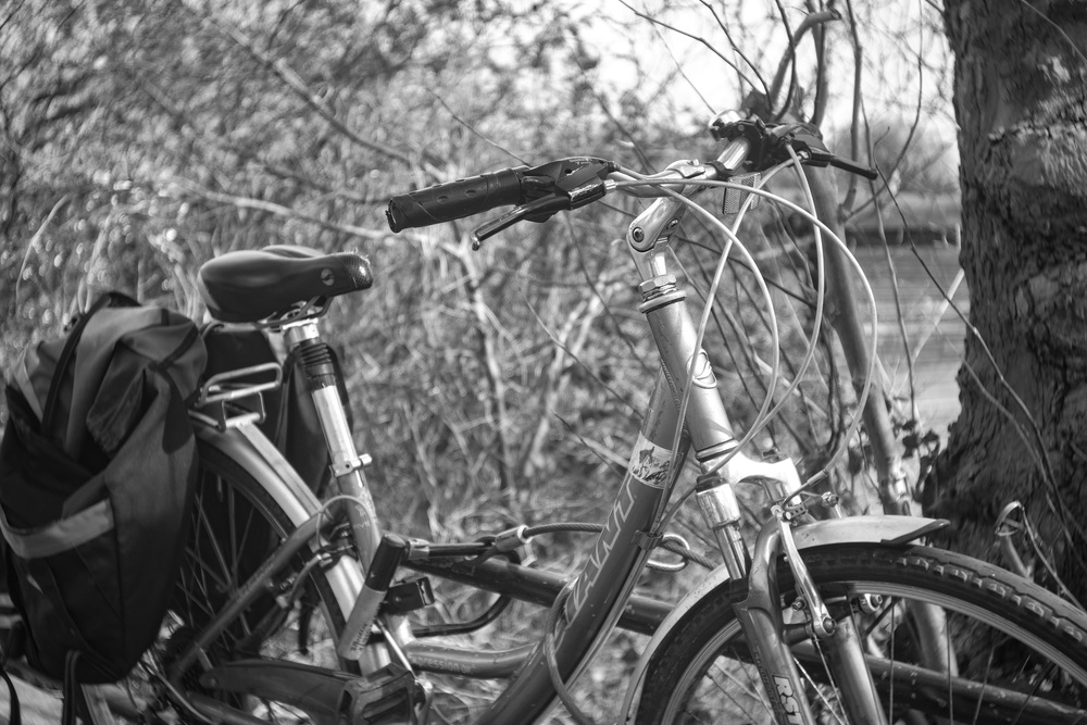 Why stick an 81-year-old lens on a modern camera? Because I can, of course. But there