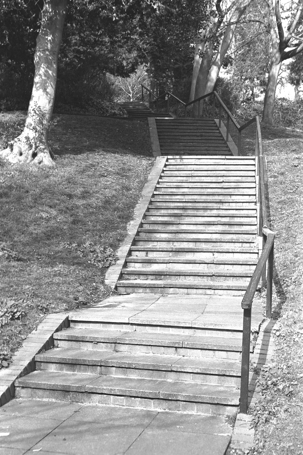 Week 34, using Kodak Professional XTOL Developer (Photo Stephen Jenner)