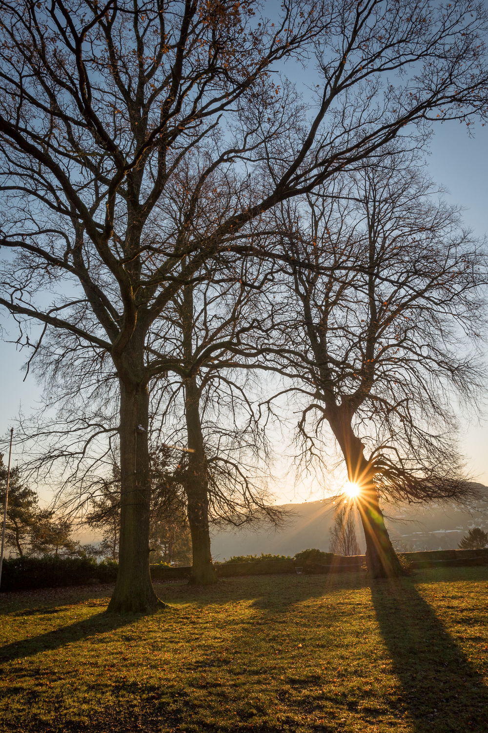 A new dawn for Messsucherwelt and Macfilos (Photograph Claus Sassenberg, Leica Q)