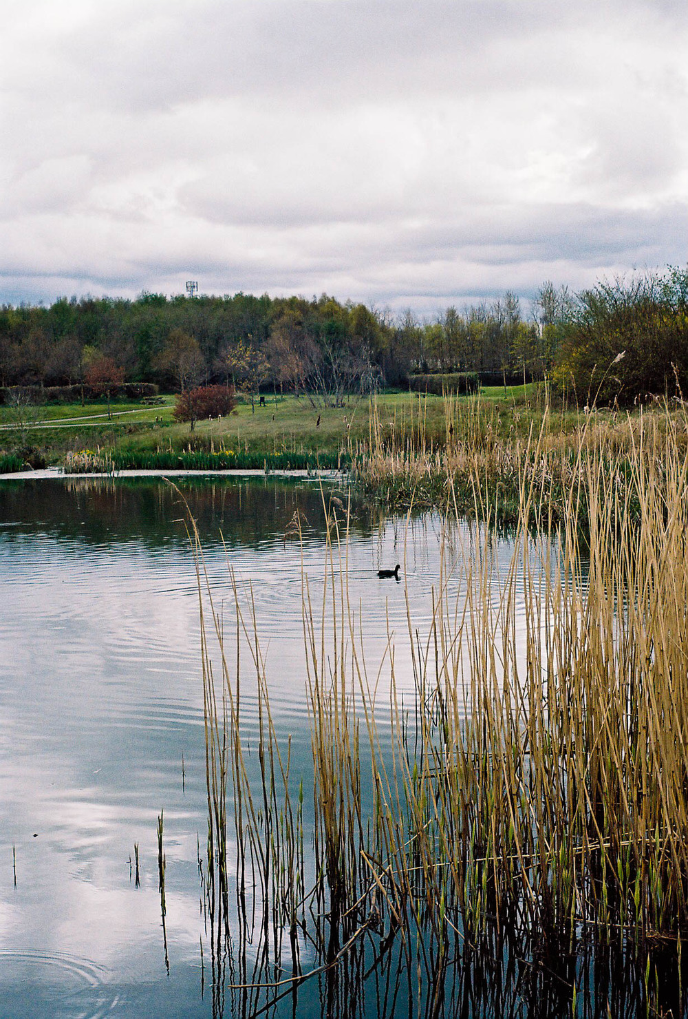 Above: Taken with the 50mm Summarit using Kodak Porta 160