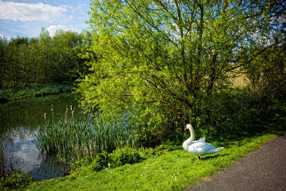 All images by William Fagan, 2.8cm f/5.6 Summaron