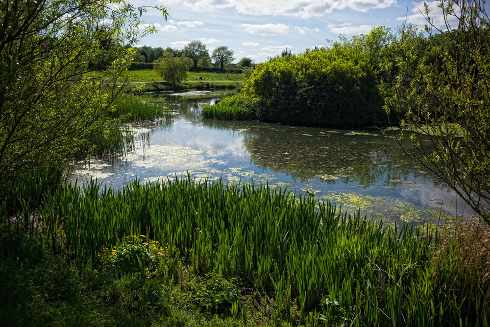 Tymon, May 2016