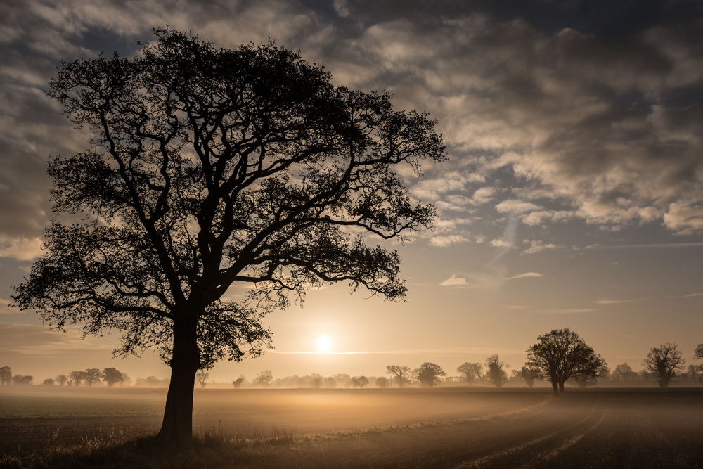 Suffolk Sunrise - Leica SL with 24-90 Vario Elmarit SL Asph.