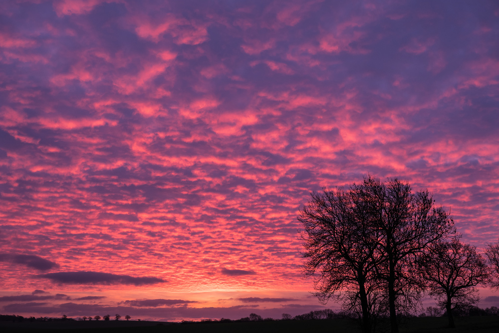 Suffolk Sunset - Leica SL with 24-90 Vario Elmarit SL Asph.
