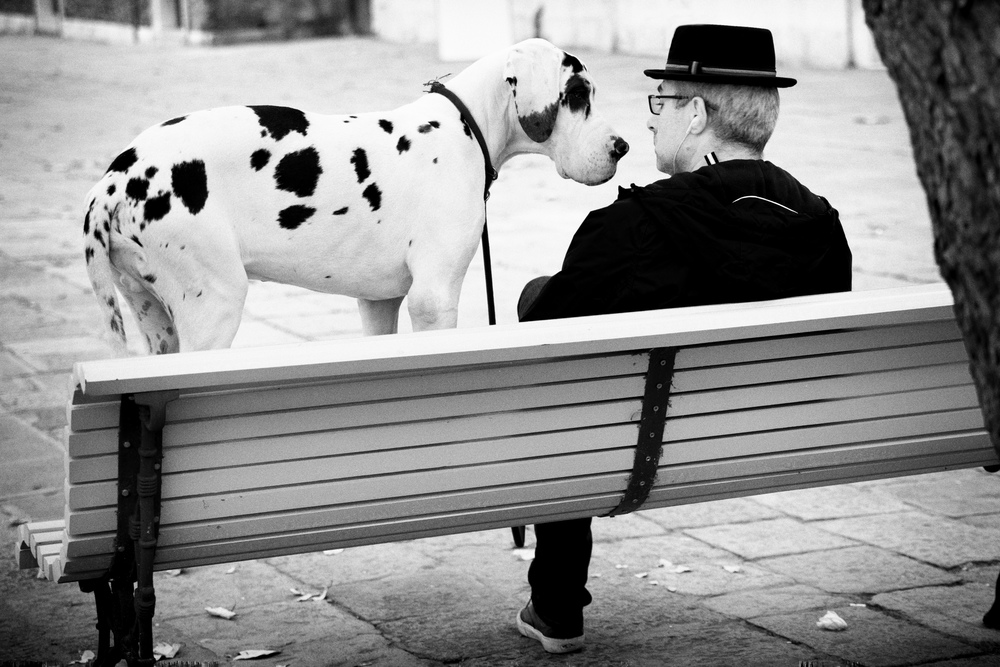 Talking Dog (Venice) Leica SL with 24-90 Vario Elmarit SL Asph.