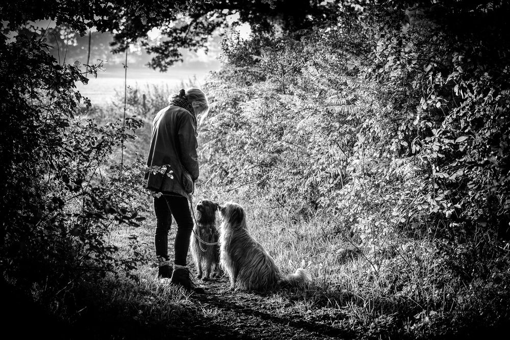 Biscuit Time Leica SL with 24-90 Vario Elmarit SL Asph.