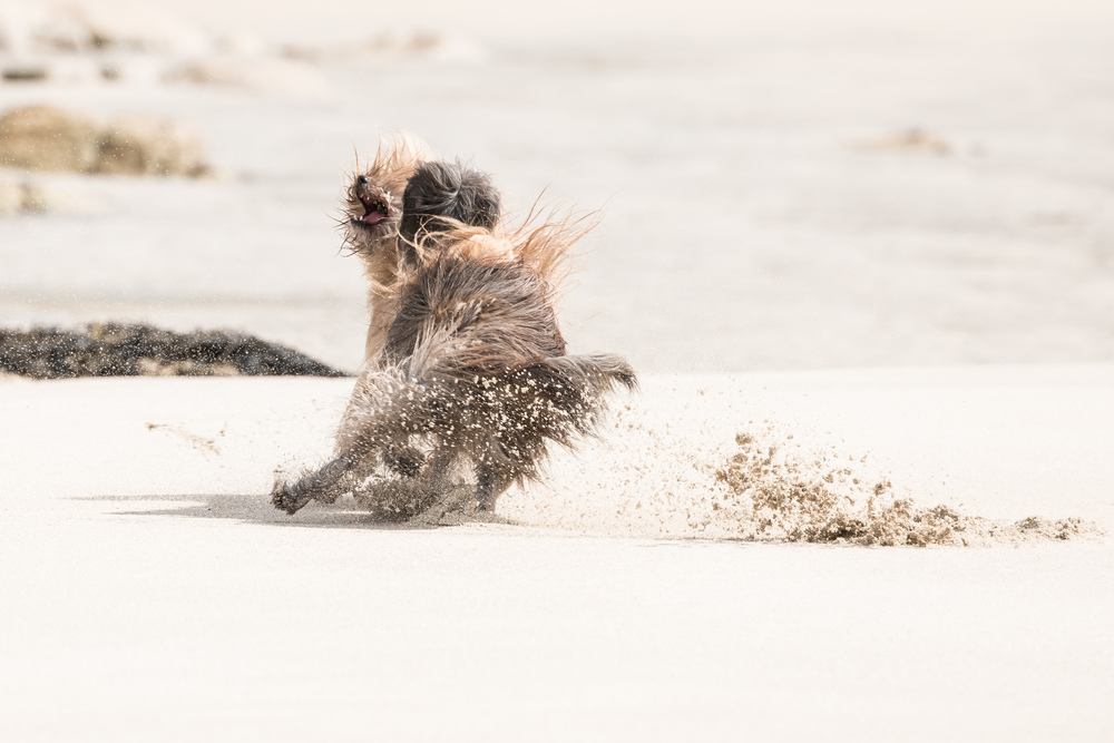 Attack Leica SL with 90-280 Vario Elmarit SL Asph.