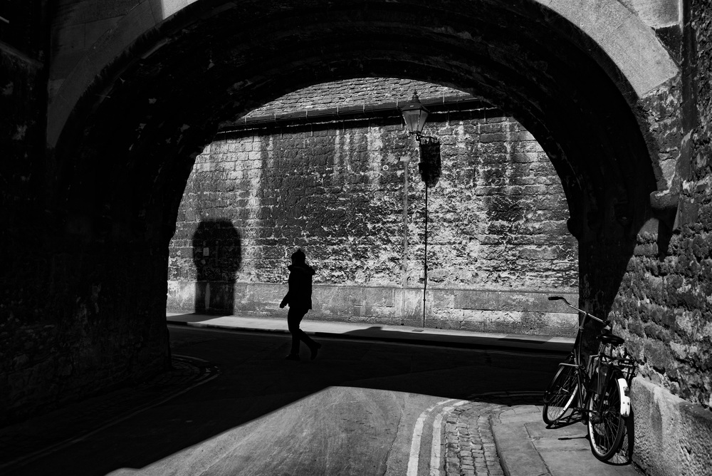 50mm Apo-Summicron-M