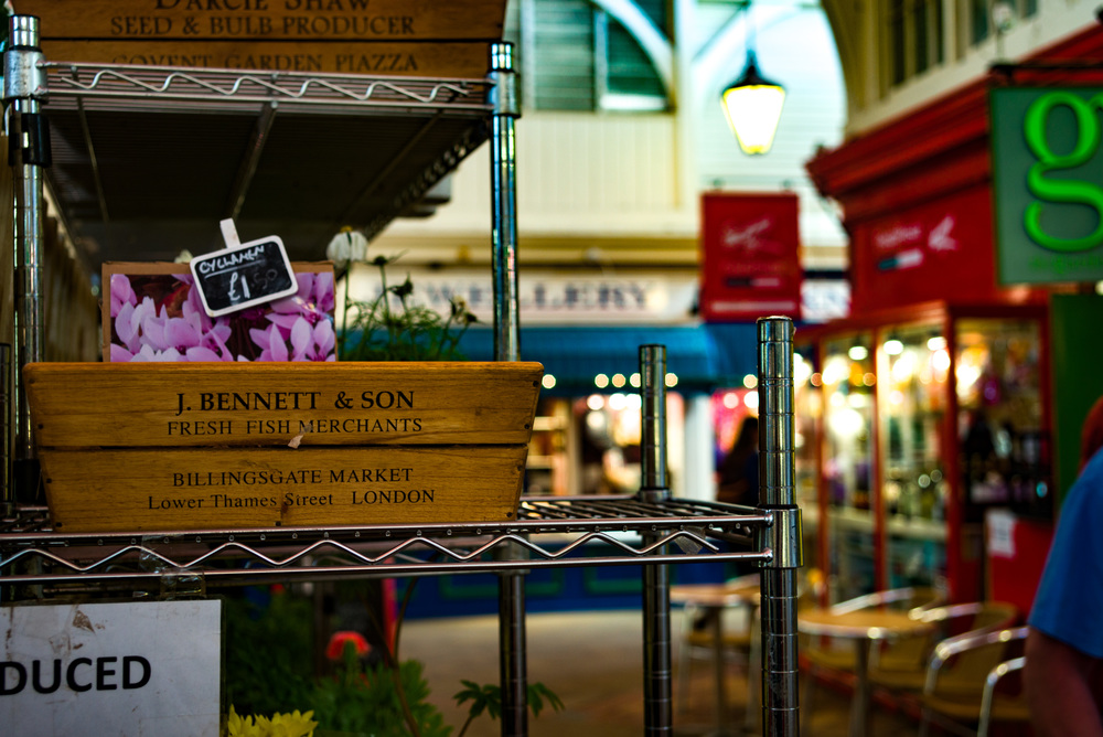 With the 50mm Apo-Summicron