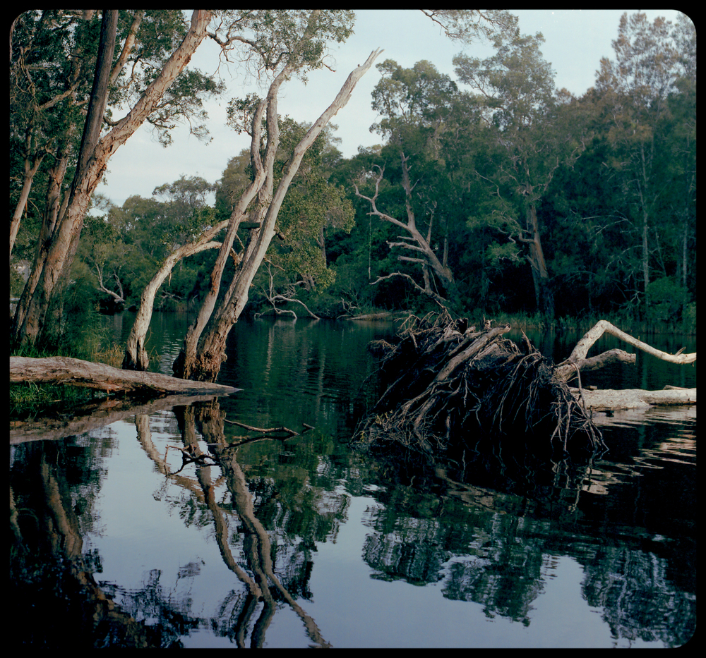 Avoca Lagoon