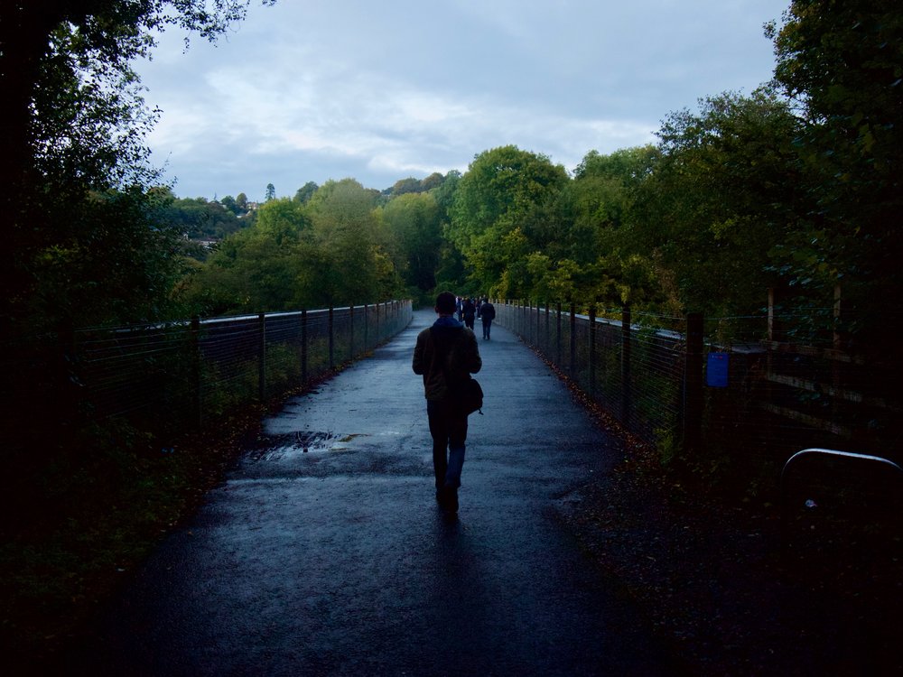 Another tricky subject: The silhouette effect against backlighting was intentional and the composition is excellent.