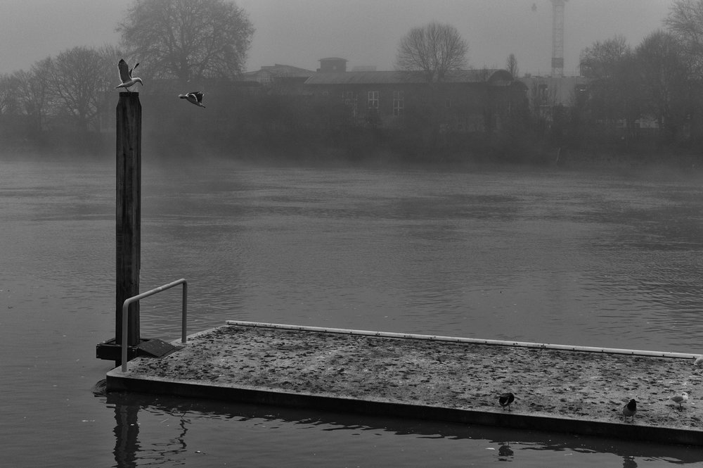 View towards Barnes from Hammersmith Mall