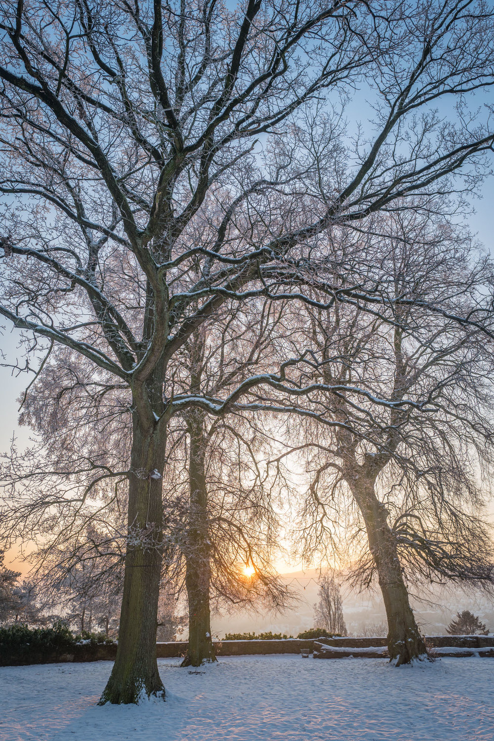 Sunrise over the Burgplatz — the Q
