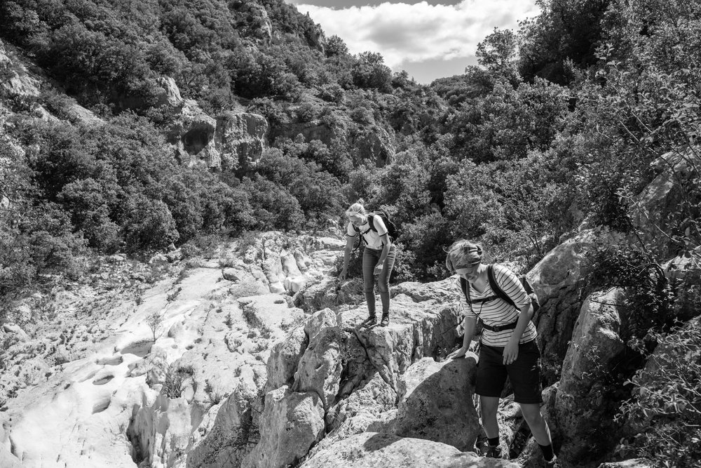 Climbing, mountain biking or hiking - the Q takes everything in its stride