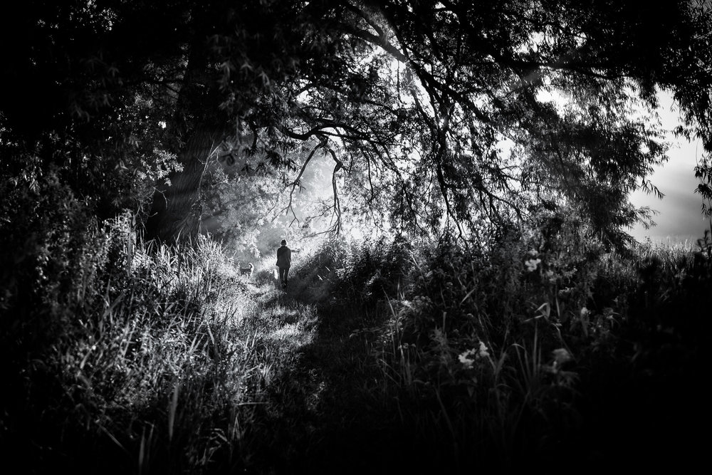 Mystery Morning - Leica M10 with 60mm Macro Elmarit R 1/500th ISO 100