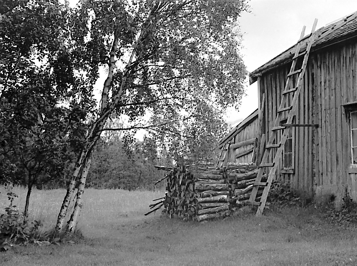 Beiardalen Valley, Northern Norway, 1960s