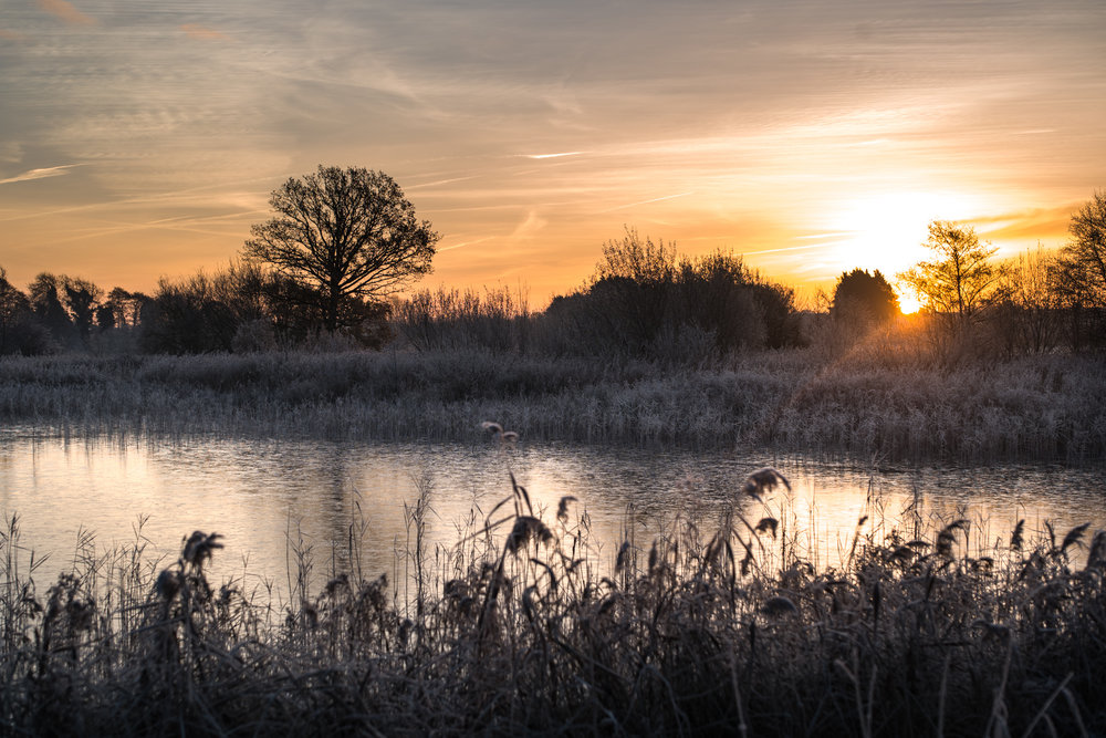 Icy Dawn- Leica M10 with 50mm Summilux M Asph 1/350th at ISO 100