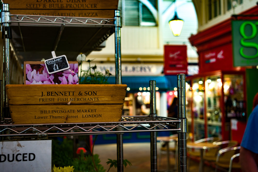 A touch of bokeh at f/4.8, taken at 50mm with the Tri-Elmar and Leica M-D