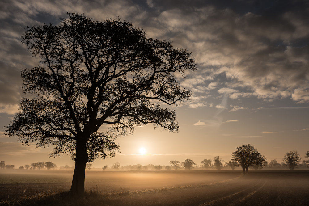The 24-90mm Vario-Elmarit-SL is a superb performer and offers greater versatility than the 50mm Summilux-SL. It is barely bigger or heavier. This shot taken by Jono Slack with the Leica SL (see the link to his one-year review of the SL at the bottom of the article).