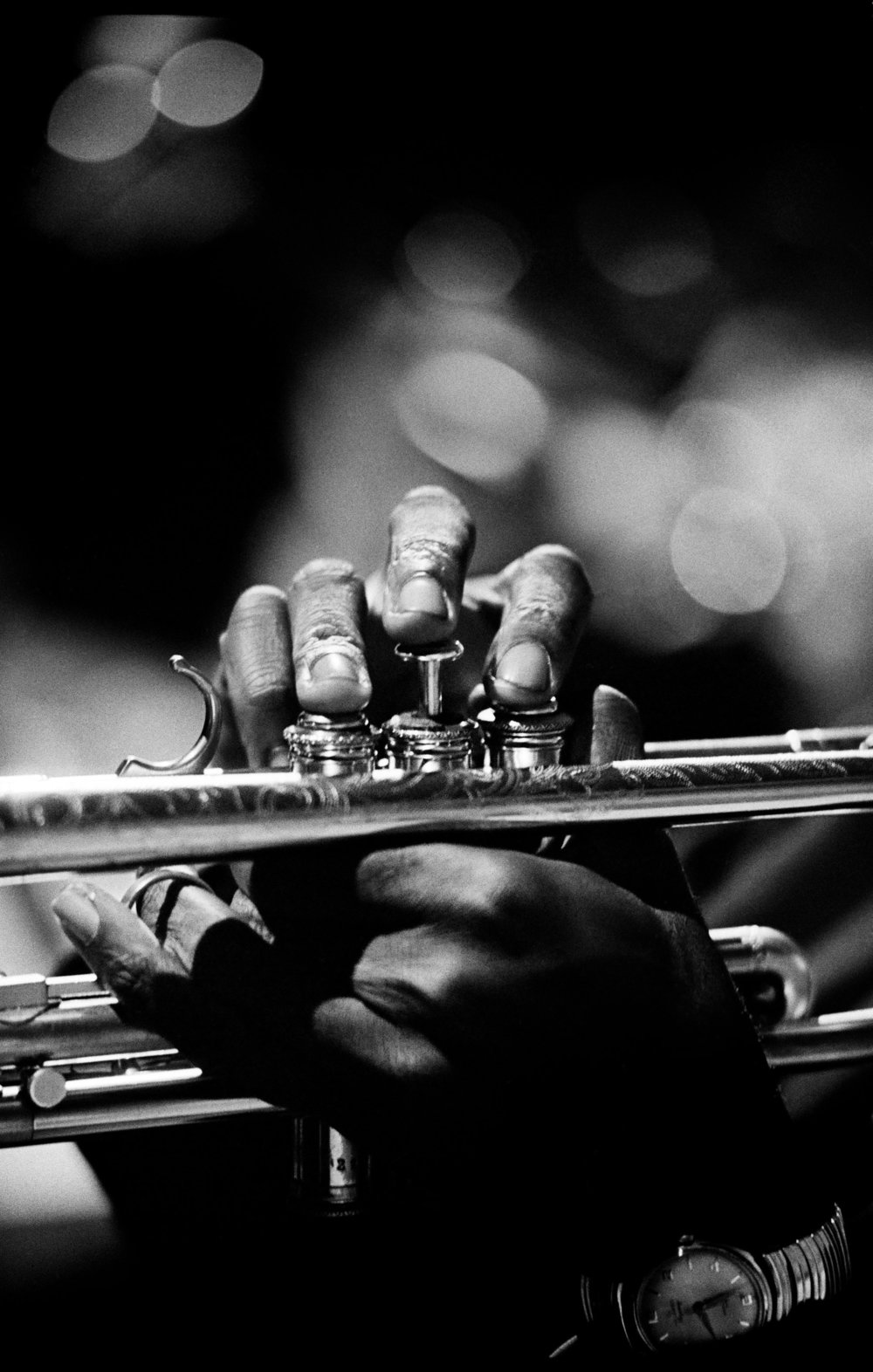 © Jim Marshall Photography LLC. From Jazz Festival: Jim Marshall (Reel Art Press)