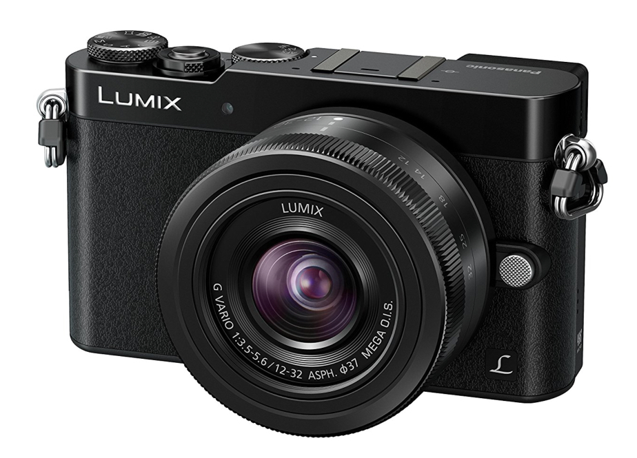 The GM5 is slightly larger and heavier but brings a built-in electronic viewfinder to the pocket party stakes
