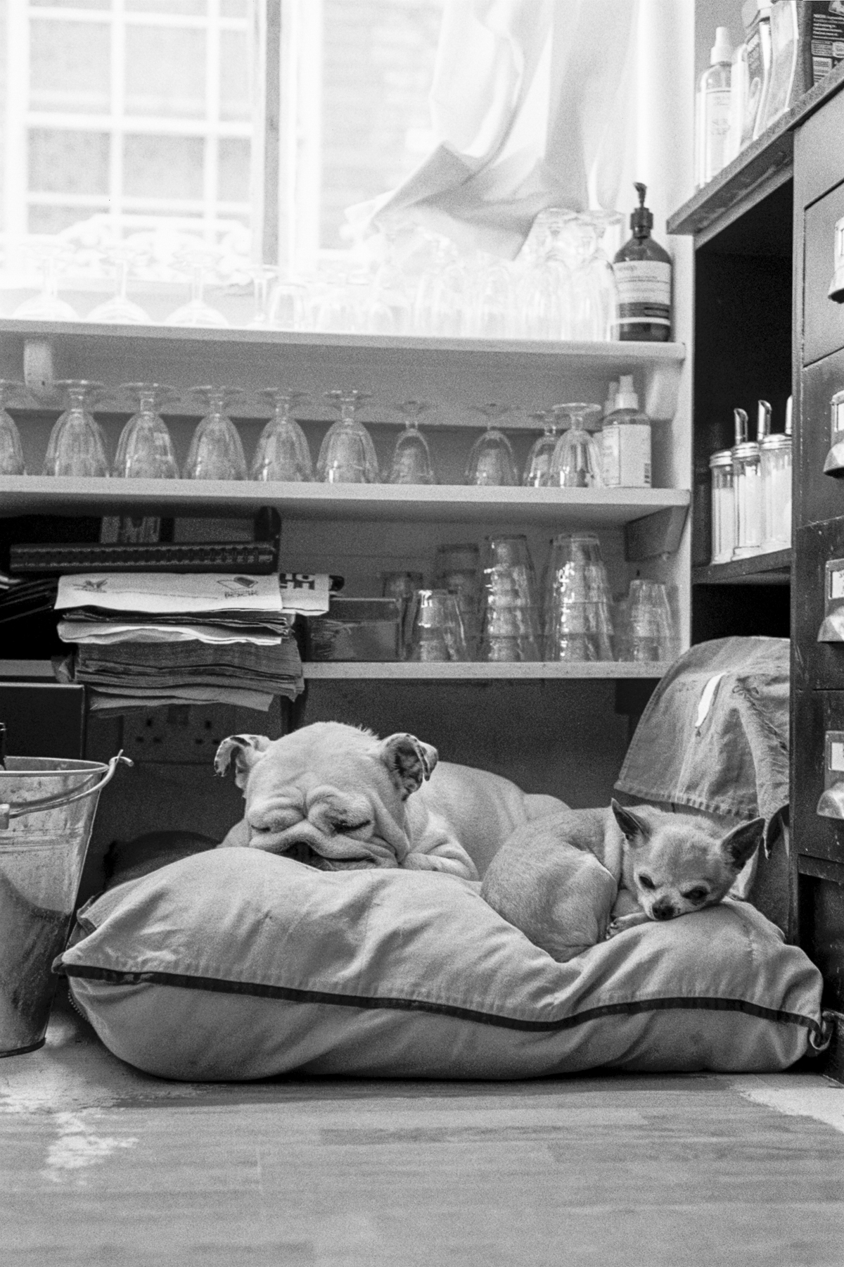Cafe siesta