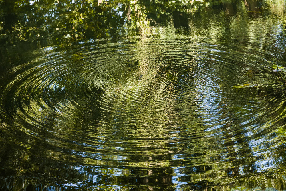 Ripple, 18-56mm Vario Elmar